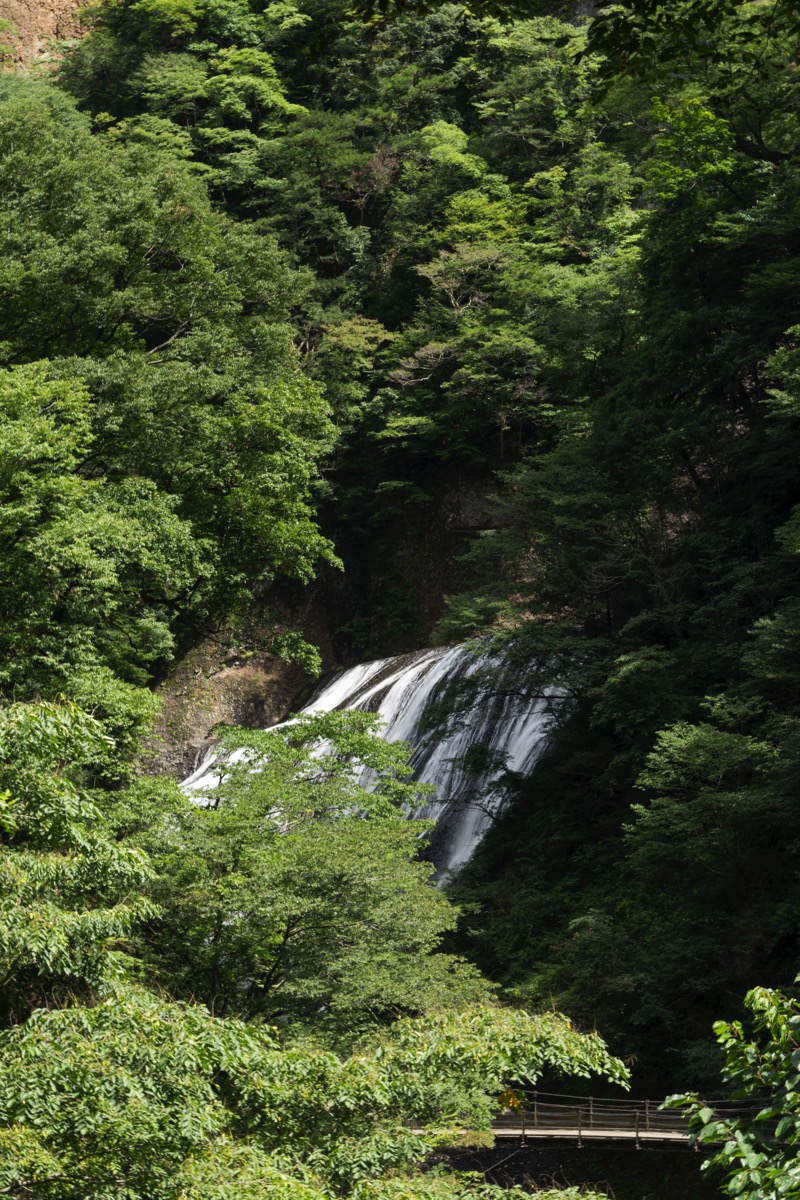 DSC01173.jpg DSC01173