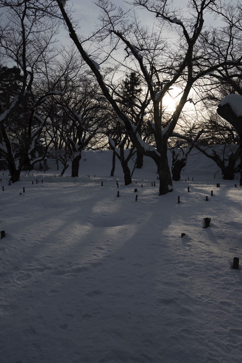 DSC08011.jpg DSC08011