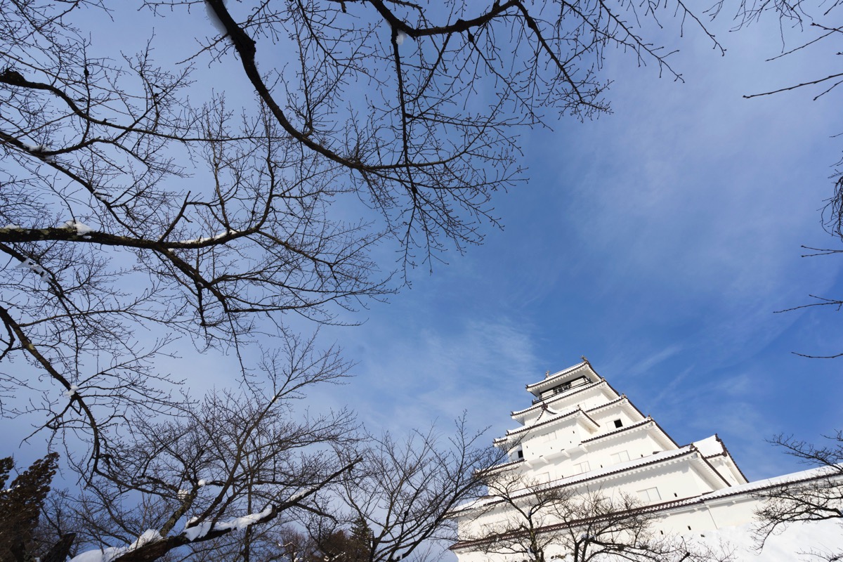 DSC08019.jpg DSC08019
